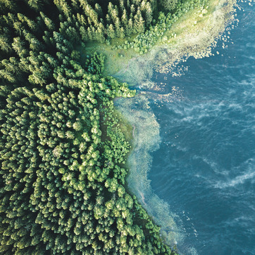Sustainability - Our responsibility